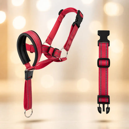 Dog Harness Against Pulling | Adjustable for Walking