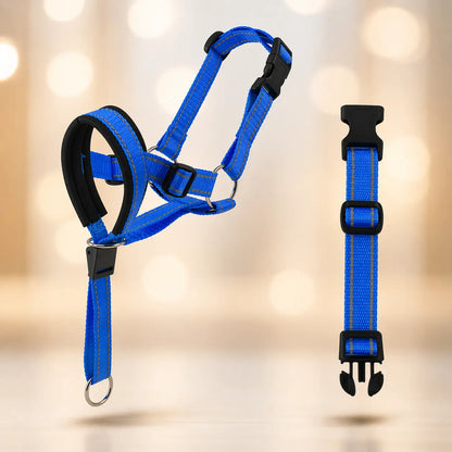 Dog Harness Against Pulling | Adjustable for Walking