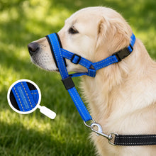 Harnais anti-traction pour chien | Réglable pour les promenades