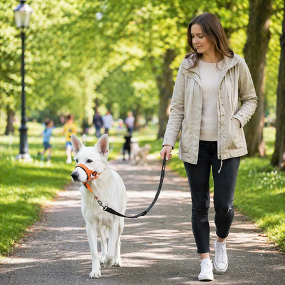 Dog Harness Against Pulling | Adjustable for Walking
