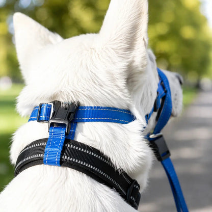 Dog Harness Against Pulling | Adjustable for Walking