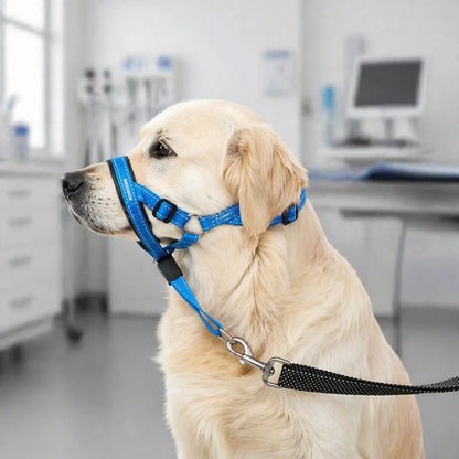 Dog Harness Against Pulling | Adjustable for Walking