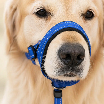 Dog Harness Against Pulling | Adjustable for Walking