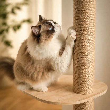 Katzen Kratzbaum Deckenhoch | Kletterbaum mit 4 Ebenen