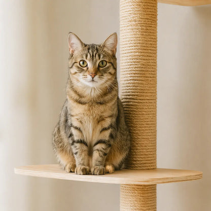 Katzen Kratzbaum Deckenhoch | Kletterbaum mit 4 Ebenen