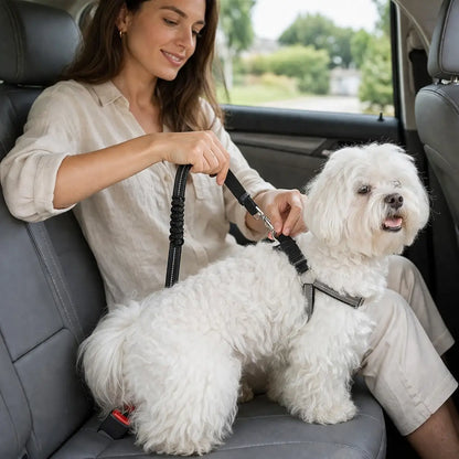 SafeRide – The adjustable safety belt for dogs in the car