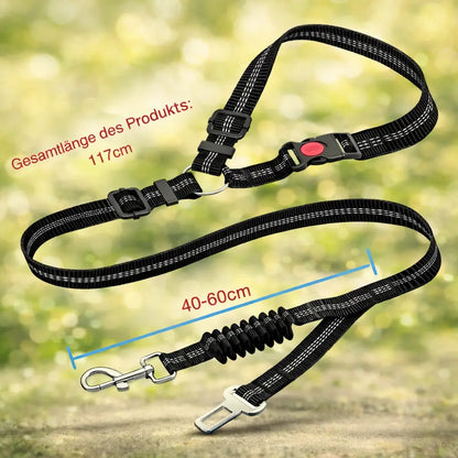 SafeRide – The adjustable safety belt for dogs in the car