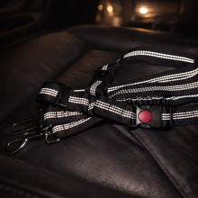 SafeRide – La ceinture de sécurité réglable pour chiens en voiture