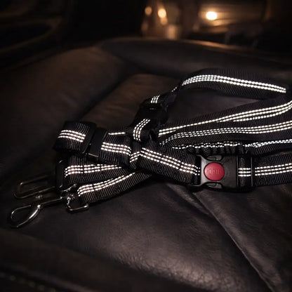 SafeRide – The adjustable safety belt for dogs in the car