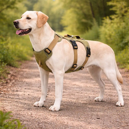 Escape-proof dog harness | Adjustable & padded safety harness