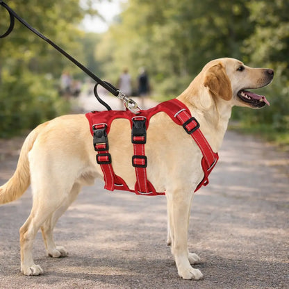 Escape-proof dog harness | Adjustable & padded safety harness