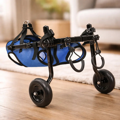 Lightweight Adjustable Dog Care Wheelchair | Stable & Comfortable