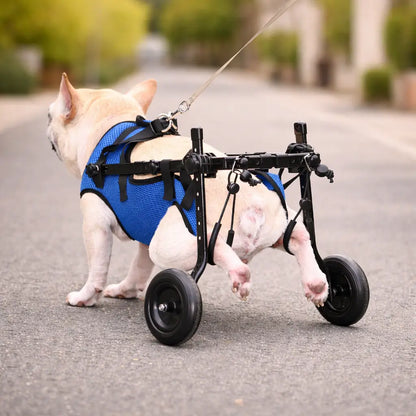 Lightweight Adjustable Dog Care Wheelchair | Stable & Comfortable