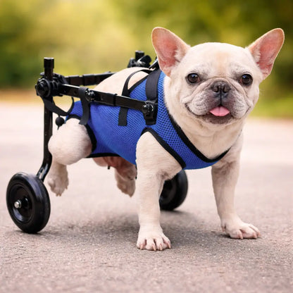 Lightweight Adjustable Dog Care Wheelchair | Stable & Comfortable