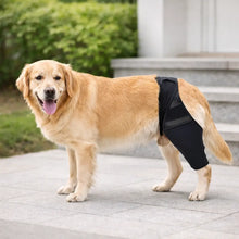 Genouillère pour chien | Support respirant pour genoux & articulations