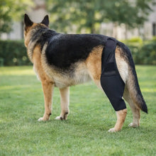 Genouillère pour chien | Support respirant pour genoux & articulations