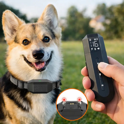 Collier d'entraînement pour chien | Son, vibration & impulsion | 800m