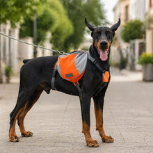 Dog bag & bowl | breathable, reflective & comfortable