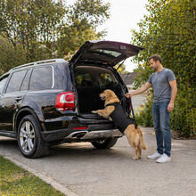 Aide au portage pour chien | Sangle de levage pour grands chiens | Soutien & mobilité au quotidien
