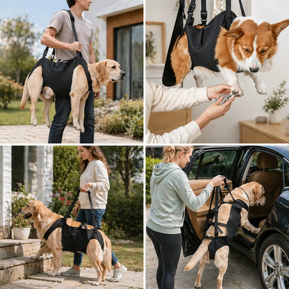 Dog Lifting Aid | Lifting Strap for Large Dogs | Support & Mobility in Daily Life