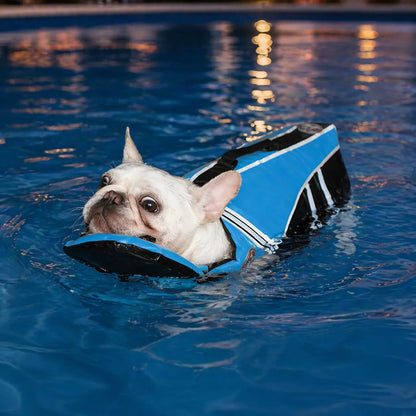 Dog Life Jacket with Handle | Secure Buoyancy & Visibility