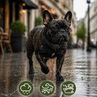 Collier anti-aboiement pour chiens sans électricité avec vibration