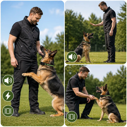 Collier anti-aboiement pour chiens sans électricité avec vibration