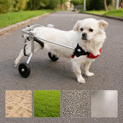 Dog Care Wheelchair | Adjustable Cart for More Mobility