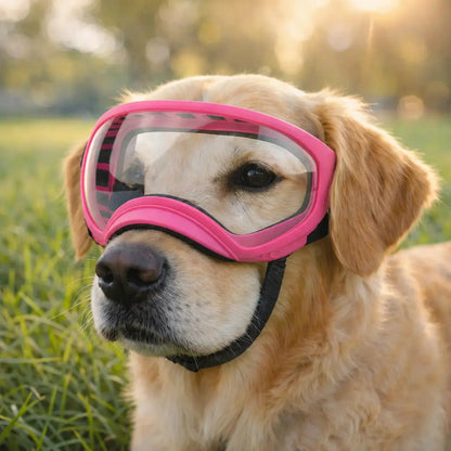 Schutzbrille mit UV Schutz | Winddicht & Verstellbar