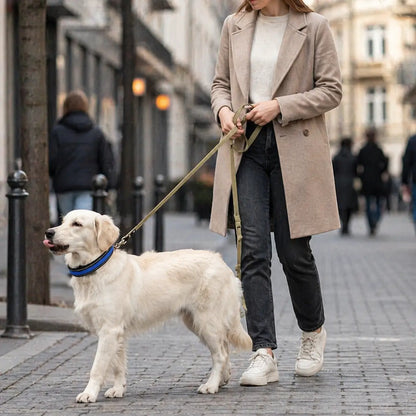 Anti-Pull Dog Collar | Gentle Control & Training