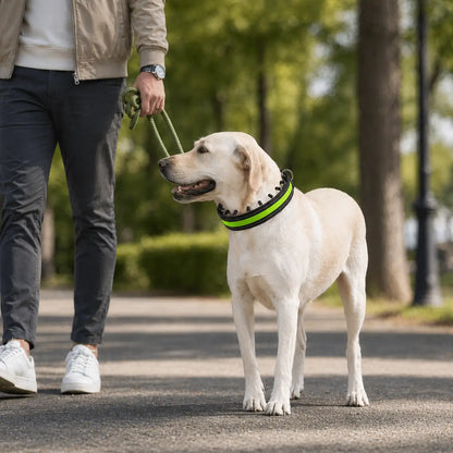 Anti-Pull Dog Collar | Gentle Control & Training