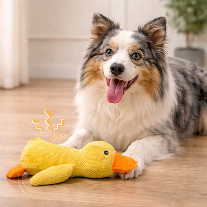 PowerDuck – Indestructible Squeaky Toy for Strong Dogs