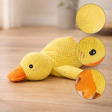 PowerDuck – Jouet à couinement indestructible pour chiens puissants