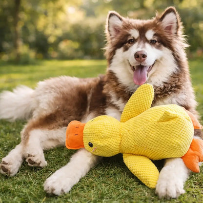 PowerDuck – Indestructible Squeaky Toy for Strong Dogs