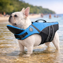 Gilet de sauvetage pour chien avec poignée | Flottaison sûre & visibilité