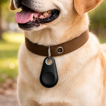Traceur anti-perte pour chiens | Plus de sécurité au quotidien