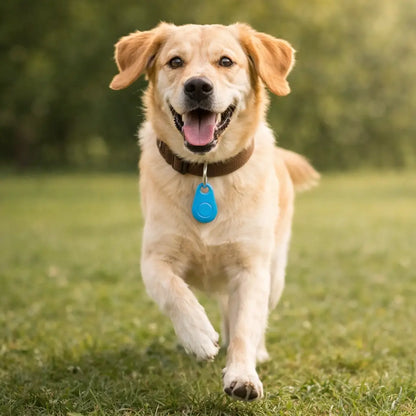 Traceur anti-perte pour chiens | Plus de sécurité au quotidien
