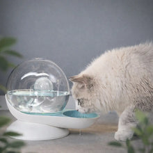 Water Fountain Without Electricity for Cats & Dogs – Automatic Fresh Water