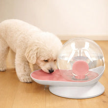 Water Fountain Without Electricity for Cats & Dogs – Automatic Fresh Water