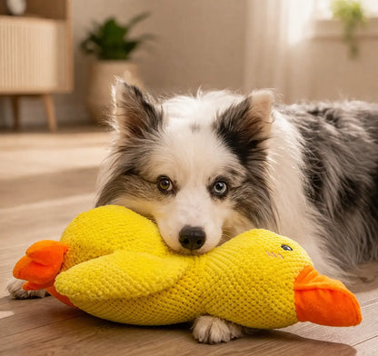 PowerDuck – Indestructible Squeaky Toy for Strong Dogs