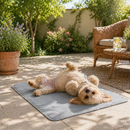 Dog cooling mat | Self-cooling, waterproof & easy to care for