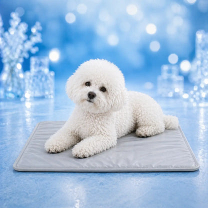 Dog cooling mat | Self-cooling, waterproof & easy to care for