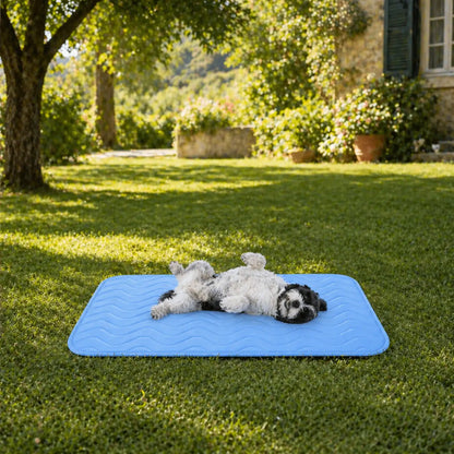 Tapis rafraîchissant pour chien lavable | Refroidissement immédiat & antidérapant