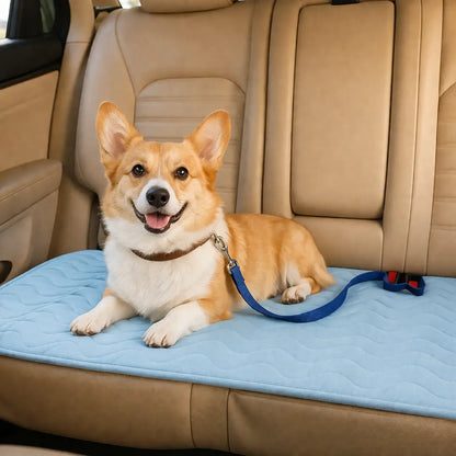 Tapis rafraîchissant pour chien lavable | Refroidissement immédiat & antidérapant