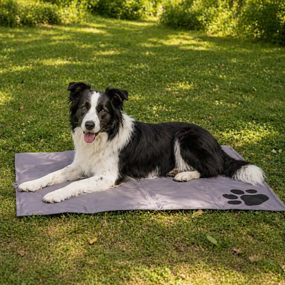 Self-cooling Dog Mat | Pressure-activated Cooling Mat