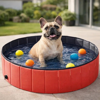 Piscine pliable en PVC pour chiens | Antidérapante & robuste