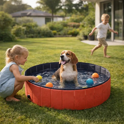 Piscine pliable en PVC pour chiens | Antidérapante & robuste