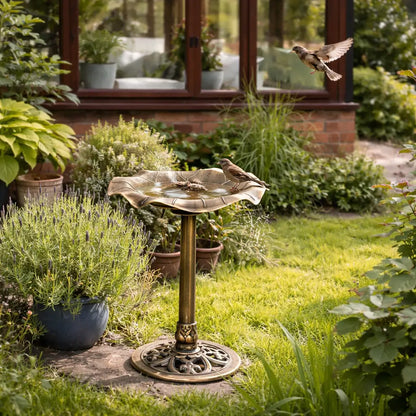 Vogeltränke mit Standfuß | Lotusblatt-Design für Garten & Terrasse