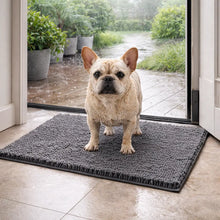 Dirt-catching mat for dogs Gray | Highly absorbent & quick-drying for home
