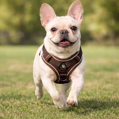 Reflective Dog Harness | Breathable & Safe for Walks